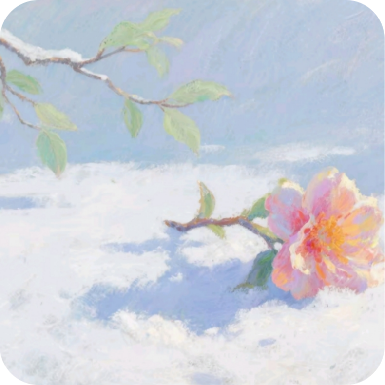 輕雪博客